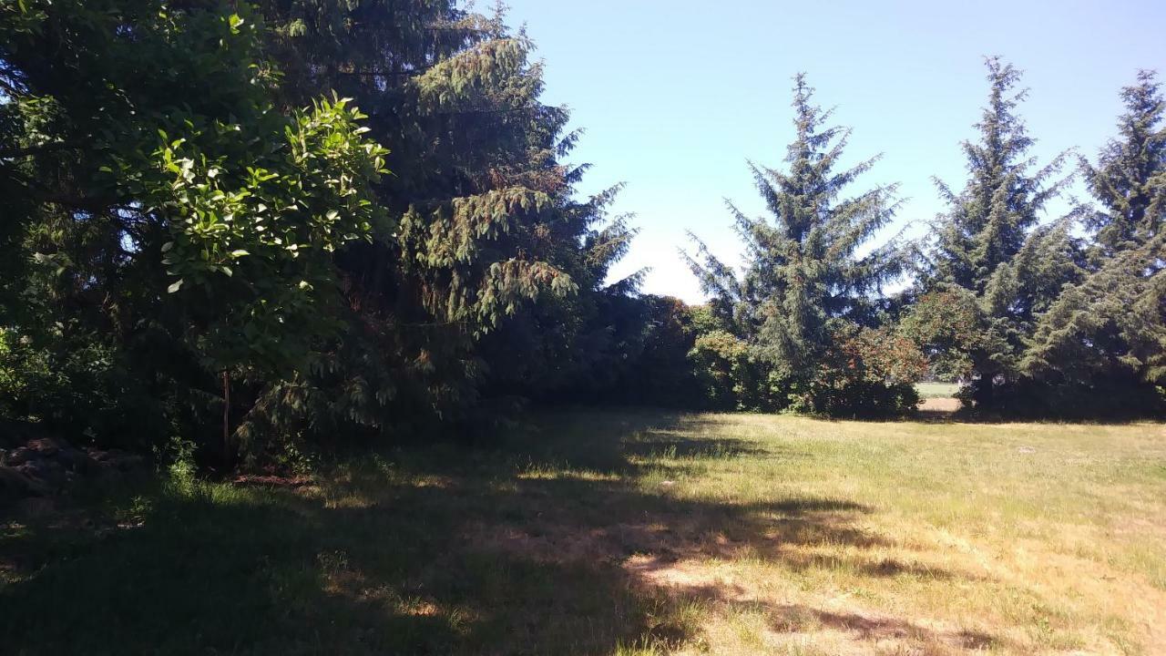 Appartamento Urlaub Bei Hauenstein Born Esterno foto