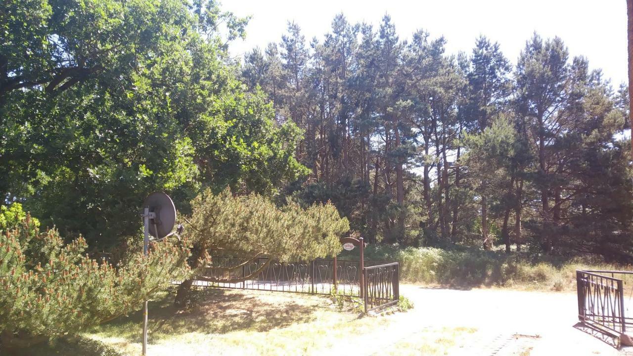 Appartamento Urlaub Bei Hauenstein Born Esterno foto
