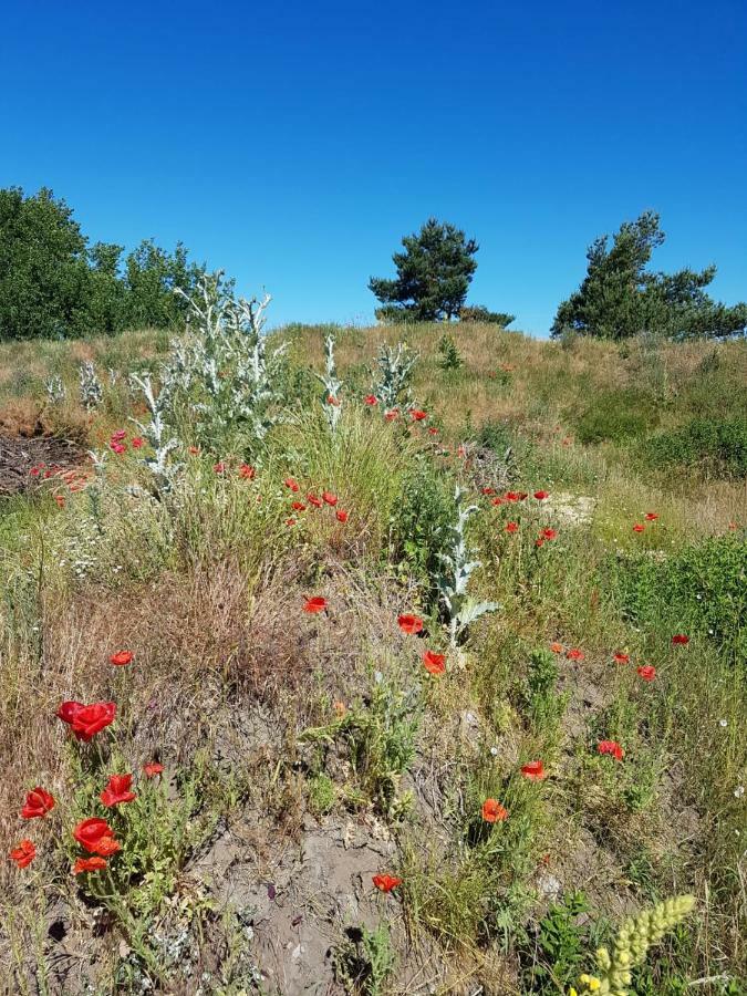 Appartamento Urlaub Bei Hauenstein Born Esterno foto
