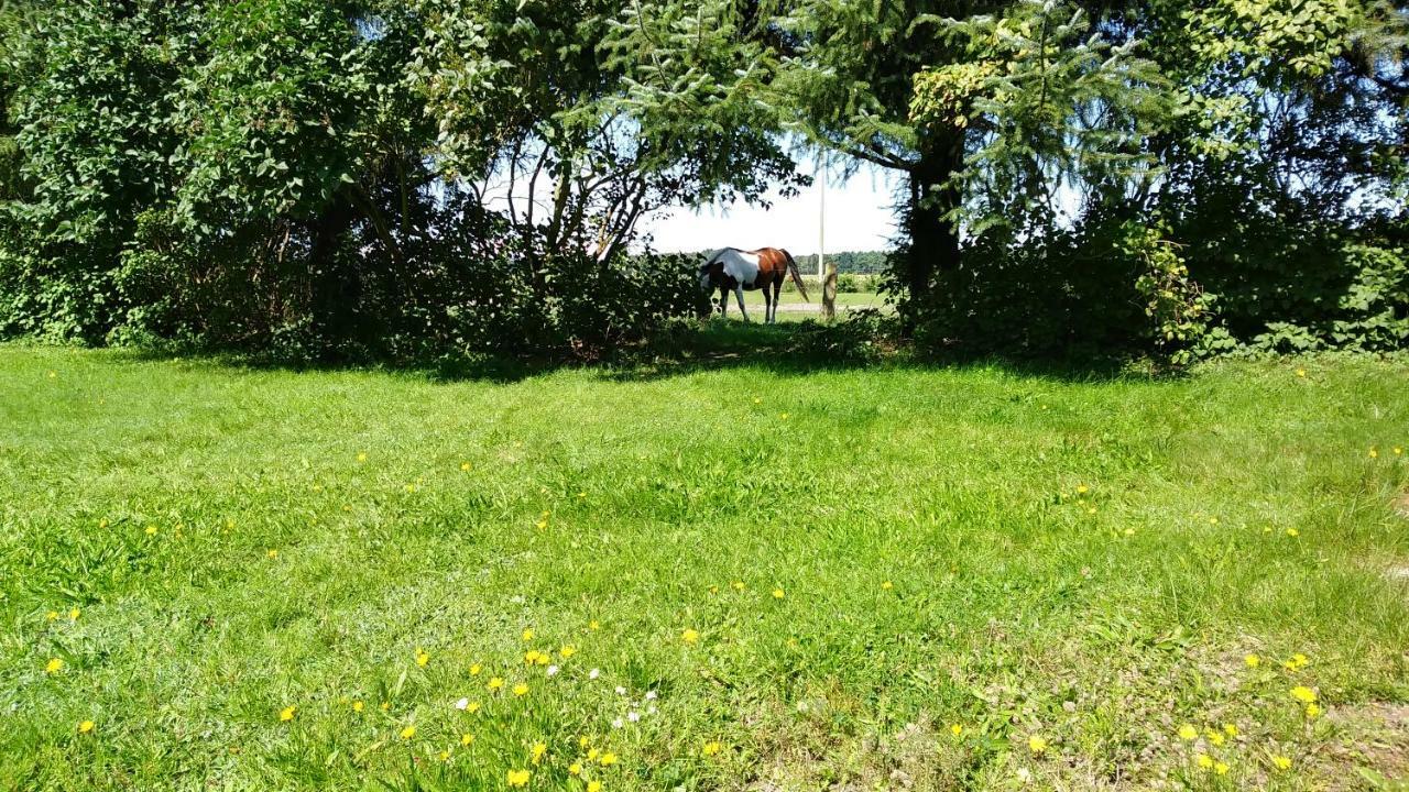 Appartamento Urlaub Bei Hauenstein Born Esterno foto